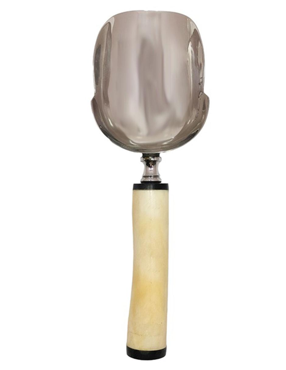 Pala para hielo Ela de acero inoxidable
