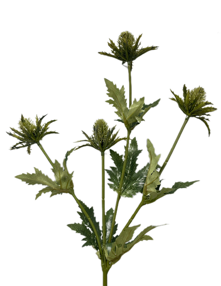 Rama decorativa