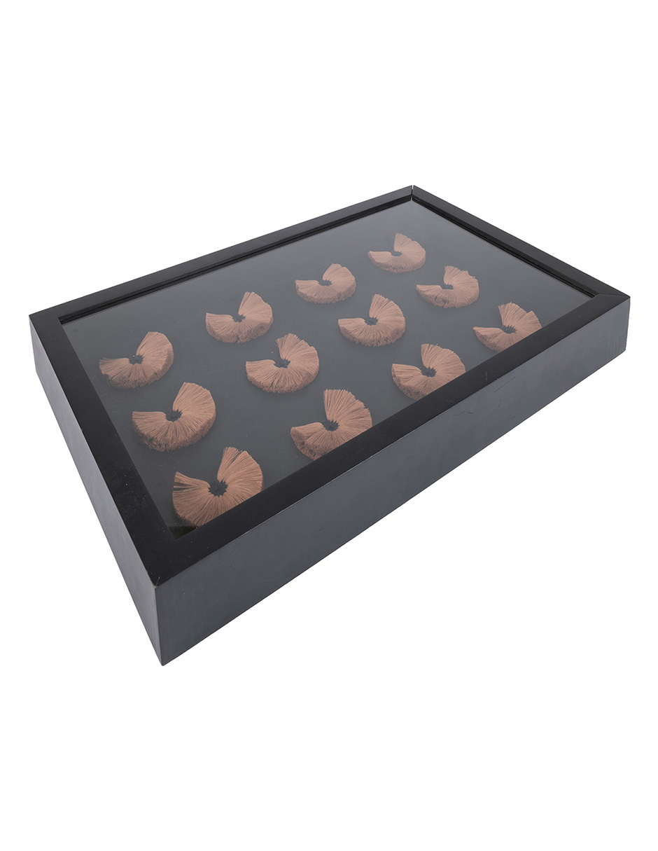 Colgante decorativo Caja Mariposas
