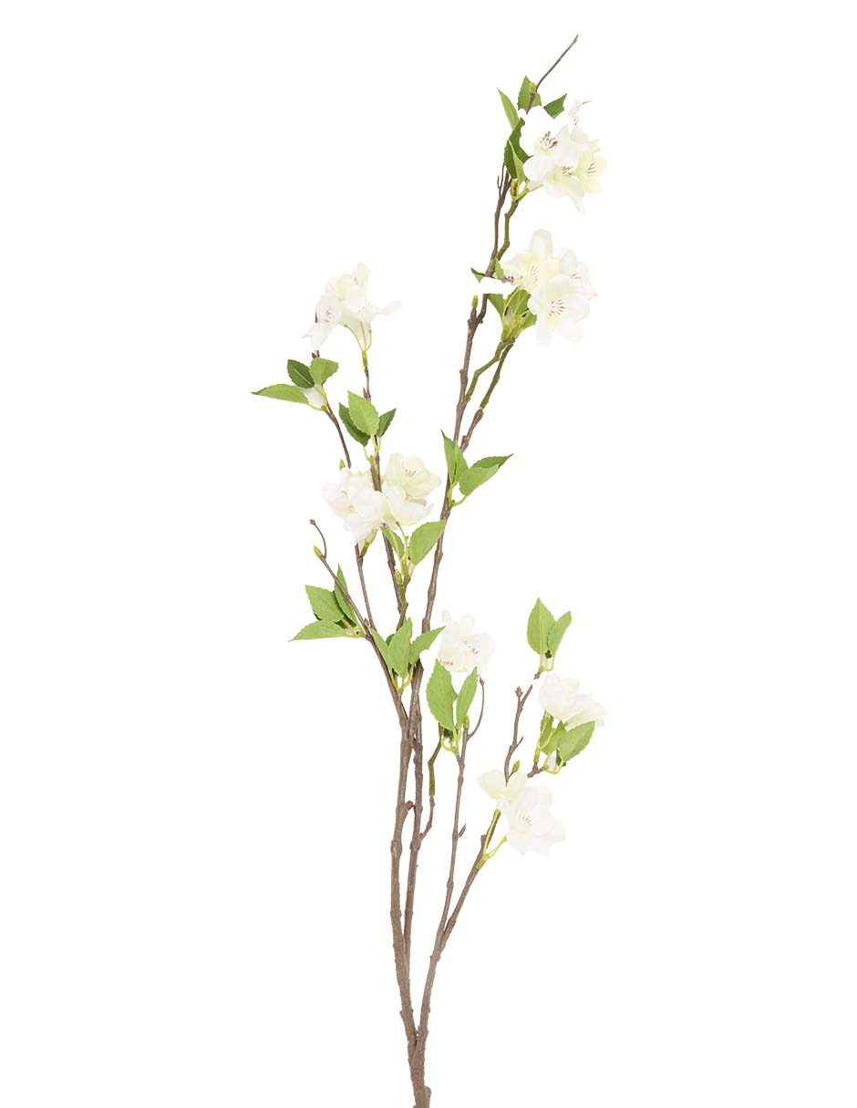 Cerezo decorativo Evergeen