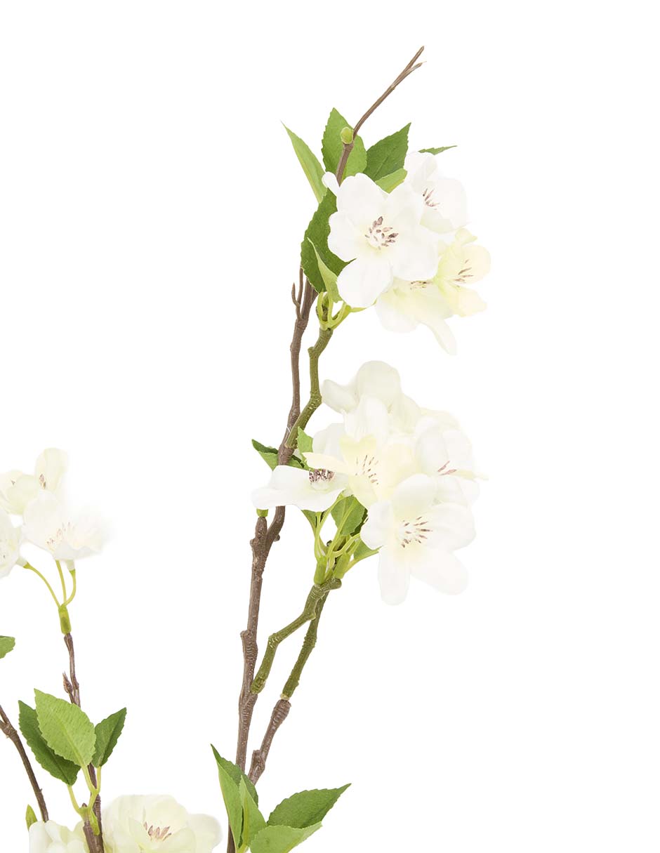 Cerezo decorativo Evergeen