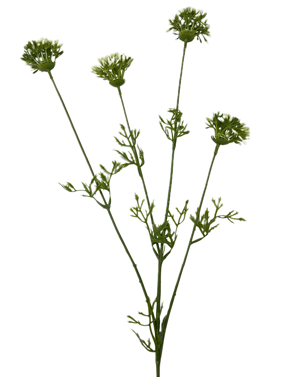 Rama decorativa
