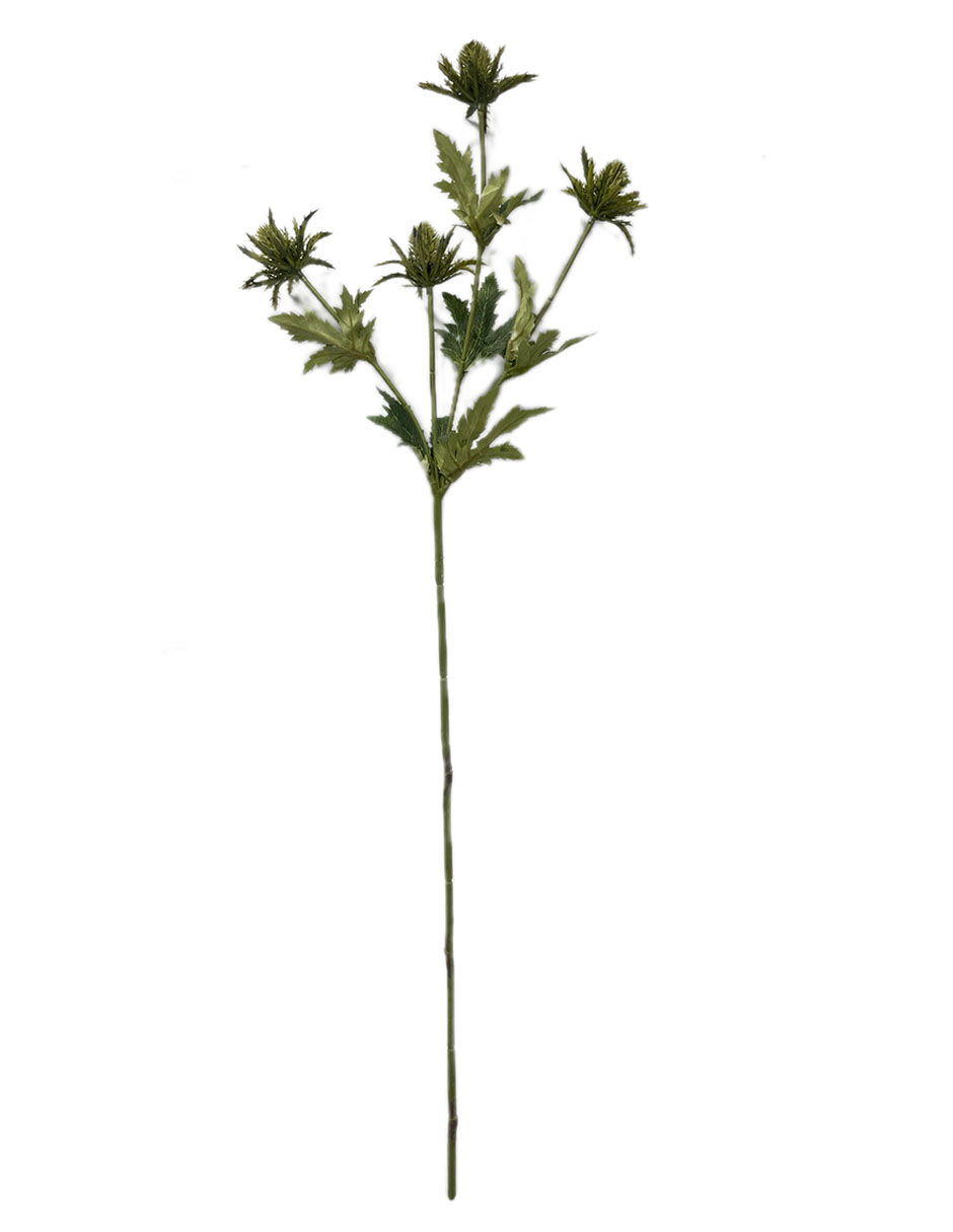 Rama decorativa 1