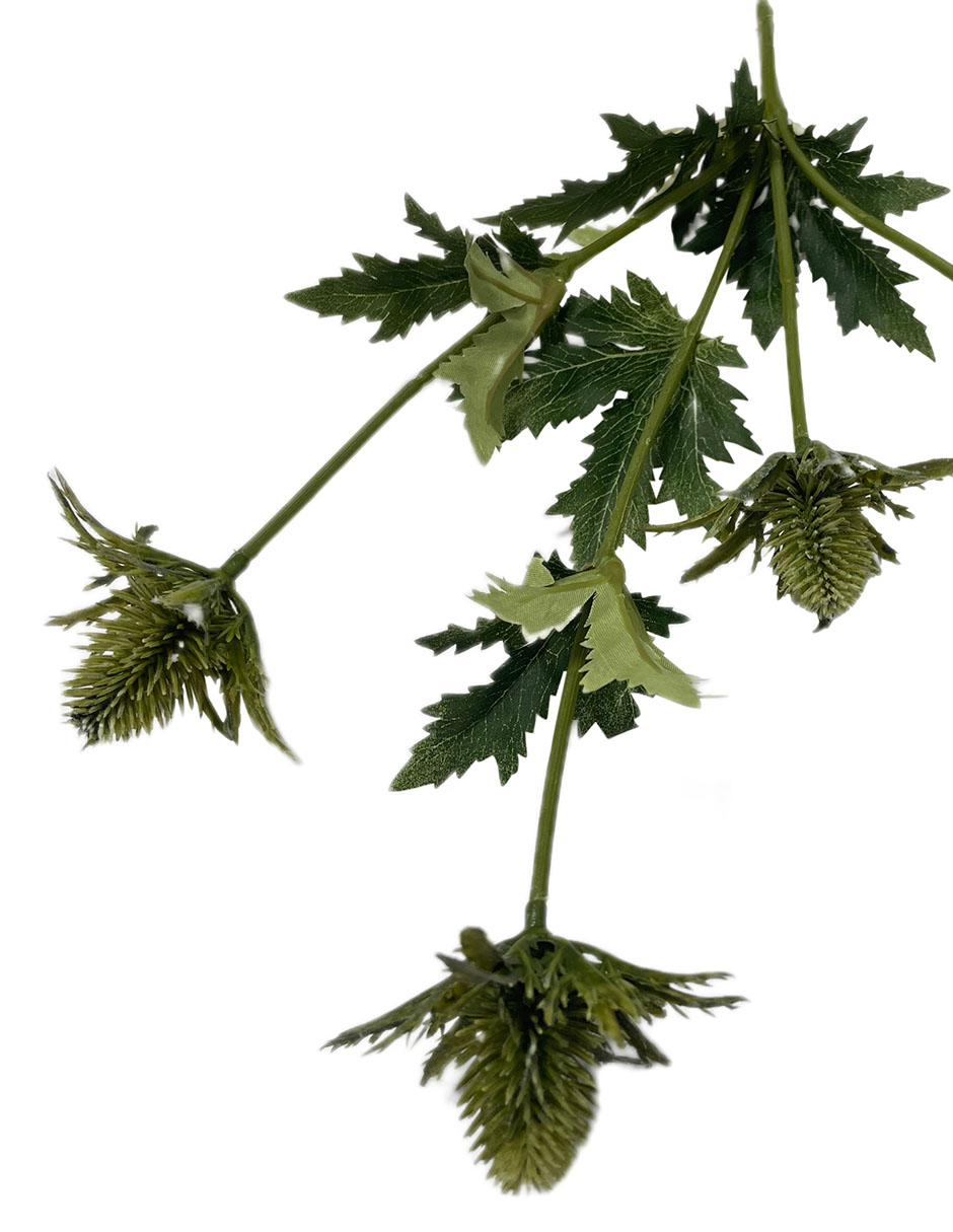 Rama decorativa 6