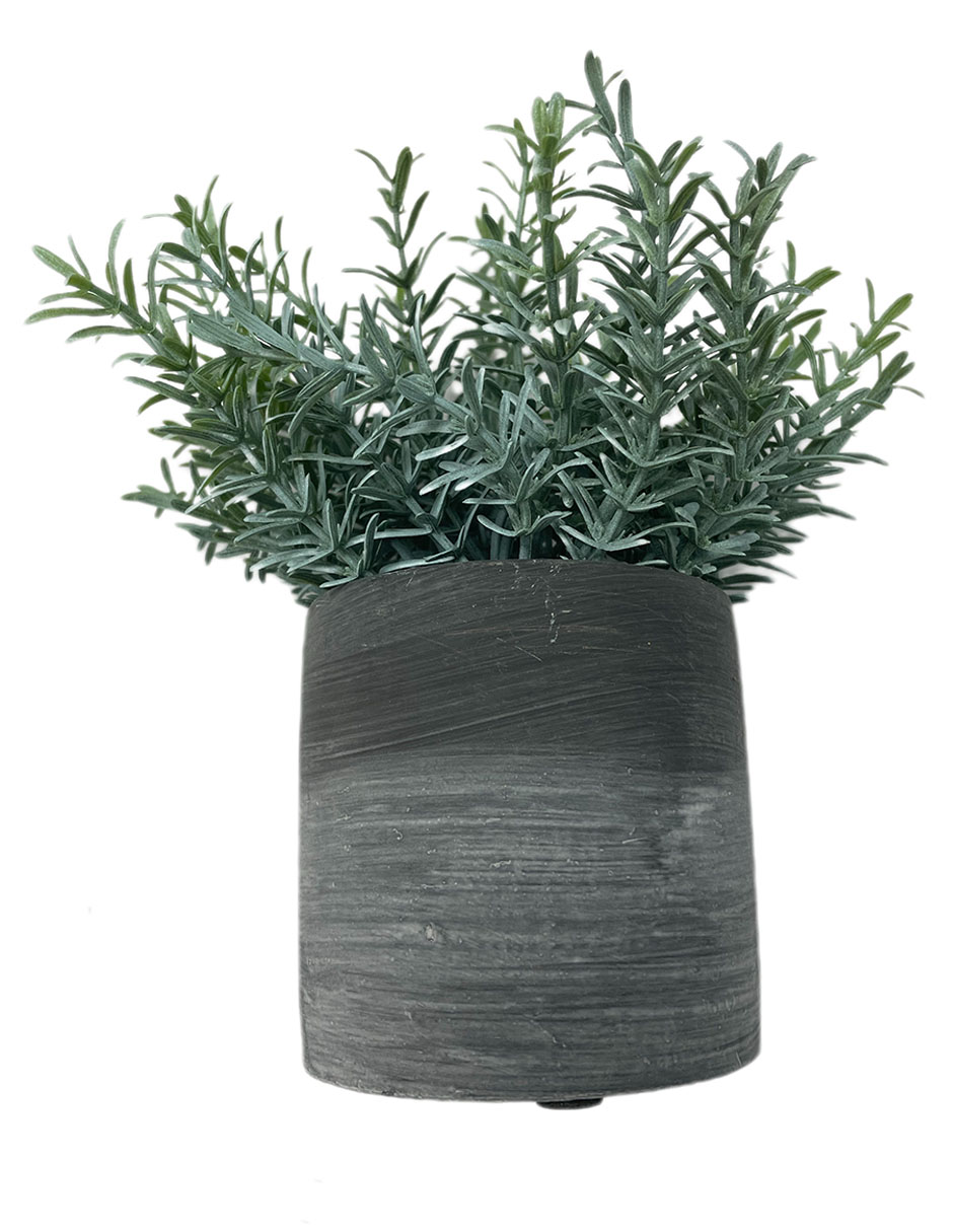 Rama decorativa