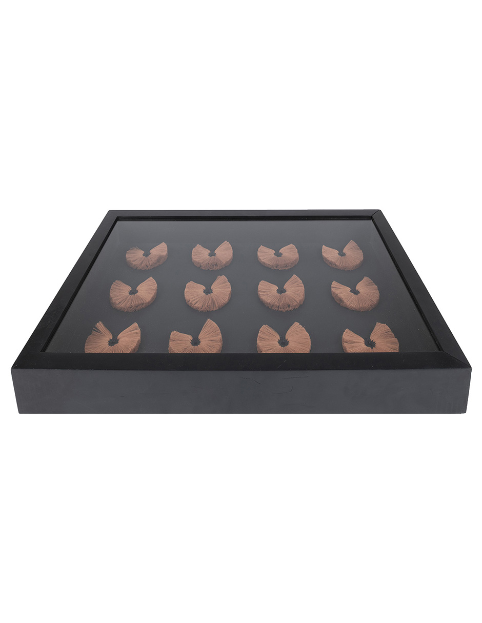 Colgante decorativo Caja Mariposas 2